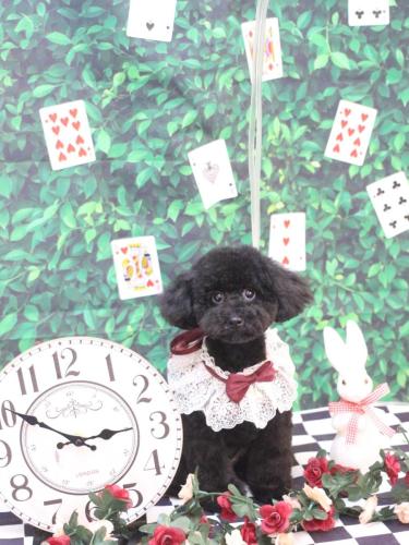 20250415レアちゃん